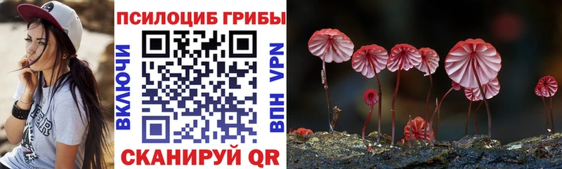 Псилоцибиновые грибы GOLDEN TEACHER Лянтор