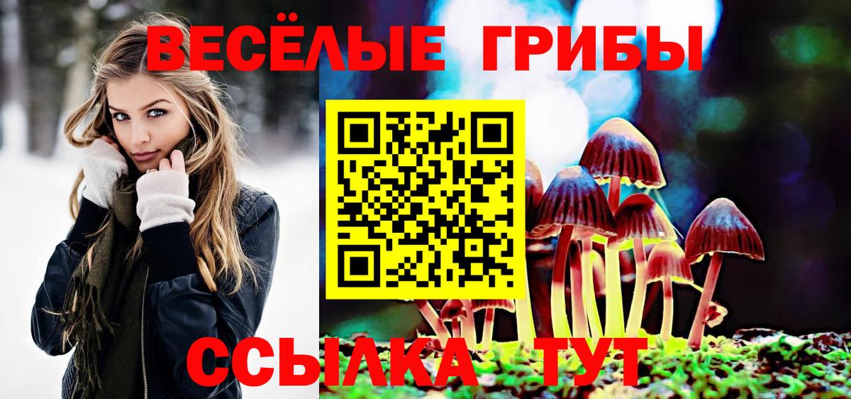 Лянтор  наркошоп  Вход с VPN  Галлюциногенные грибы Magic Shrooms  Галлюциногенные грибы мицелий 