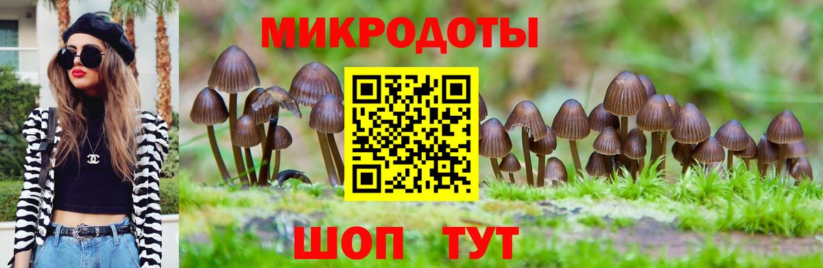Псилоцибиновые грибы GOLDEN TEACHER  Лянтор  Галлюциногенные грибы Psilocybe 